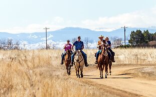 Country Holiday House