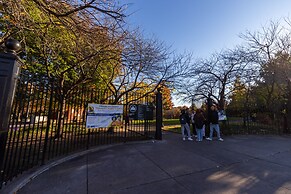 Deluxe single bed 1st FL in Elmhurst NY