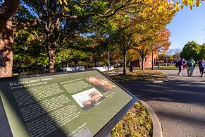 Deluxe single bed 1st FL in Elmhurst NY