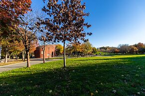 Deluxe single bed 1st FL in Elmhurst NY