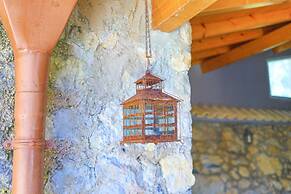 Galini Vines House Authentic Corfu Village Life Wifi A C