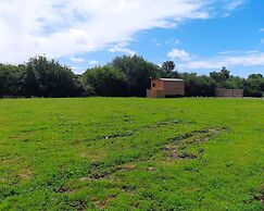 Shepherds Hut With hot tub on Anglesey North Wales