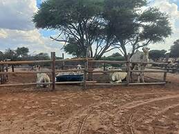 Tsabong Eco-Tourism Camel Park