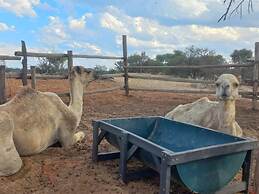 Tsabong Eco-Tourism Camel Park