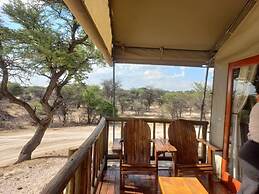 Tsabong Eco-Tourism Camel Park