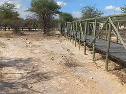 Tsabong Eco-Tourism Camel Park