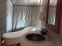 Tsabong Eco-Tourism Camel Park