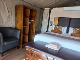 Tsabong Eco-Tourism Camel Park