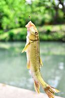 16 Son's Rio Cibolo - Birdhouse Cabin