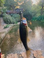 20 Son's Rio Cibolo - Birdhouse Cabin