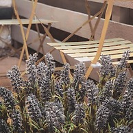 The Estuary Apartment - 2 Minutes From Beach