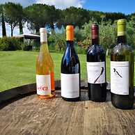 Willow apt With Shared Pool