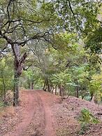 23 Son's Rio Cibolo - Birdhouse Cabin