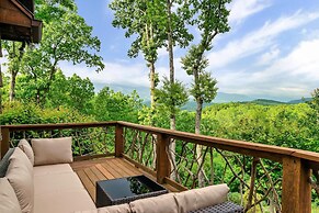 Cosby Contemporary Cabin