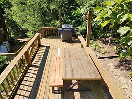 Cosby Contemporary Cabin