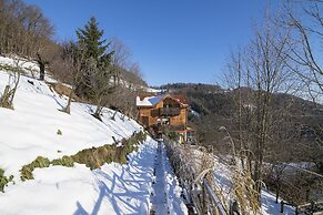 Pool Wellness Chalet Sunshine
