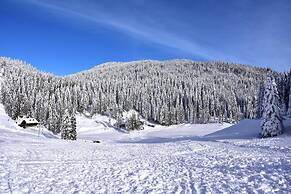 Pool Wellness Chalet Sunshine