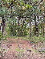 25 Son's Rio Cibolo - Birdhouse Cabin