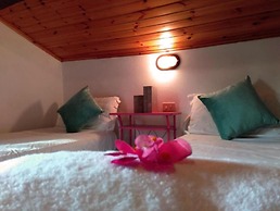 Rosehip apt With Shared Pool