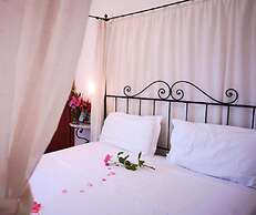 Olive apt With Shared Pool