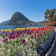 Magic Gandria in Lugano