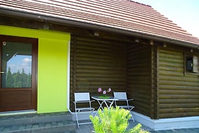 Ladybug House With Whirlpool