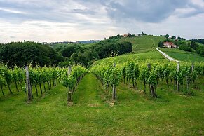 Ladybug House With Whirlpool