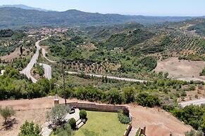 The House Olympia in Olympia