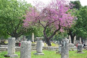 The House Olympia in Olympia