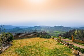 The House Olympia in Olympia