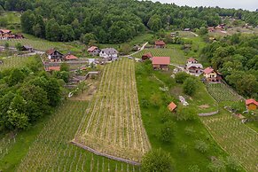 Vineyard Homestead Vrtin