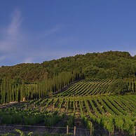 Villa Paradiso 12 in Casole d Elsa