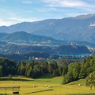 Chalet Kupljenik Near Bled Lake