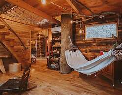 Treehouse over the water - Eagle's Nest