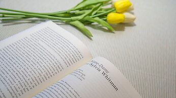 Gapyeong Bonita Pension