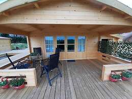 Jacuzzi, Cows, Dairyfarm, Relaxing, Sleeping