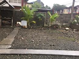 Pines Mansion II House