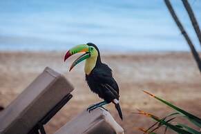 coconuco beach palomino