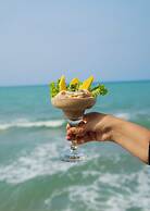 coconuco beach palomino