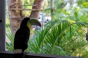 coconuco beach palomino