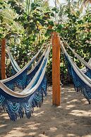 coconuco beach palomino