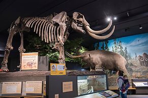 Private bedroom in Desert Western House near Wine Country