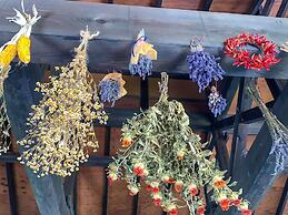 PASTORAL ENISHINOSATO