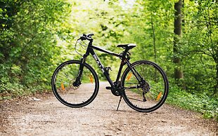 Cabañas Caeli Rainforest Glass Cabin El Congo La Fortuna