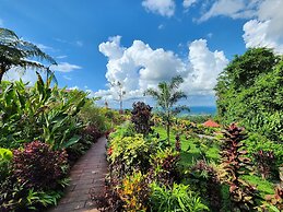 Cabañas Caeli Rainforest Glass Cabin El Congo La Fortuna
