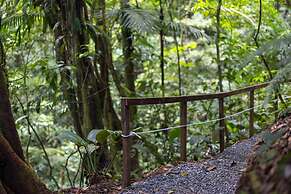 Cabañas Caeli Rainforest Glass Cabin El Congo La Fortuna
