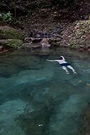 Cabañas Caeli Rainforest Glass Cabin El Congo La Fortuna