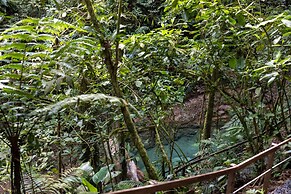 Cabañas Caeli Rainforest Glass Cabin El Congo La Fortuna