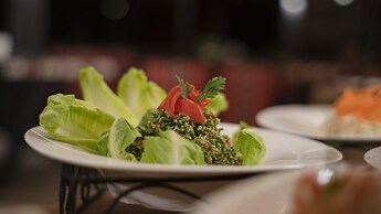 Palmera Camp Wadi Rum