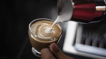 Palmera Camp Wadi Rum
